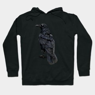 Dark Raven Hoodie